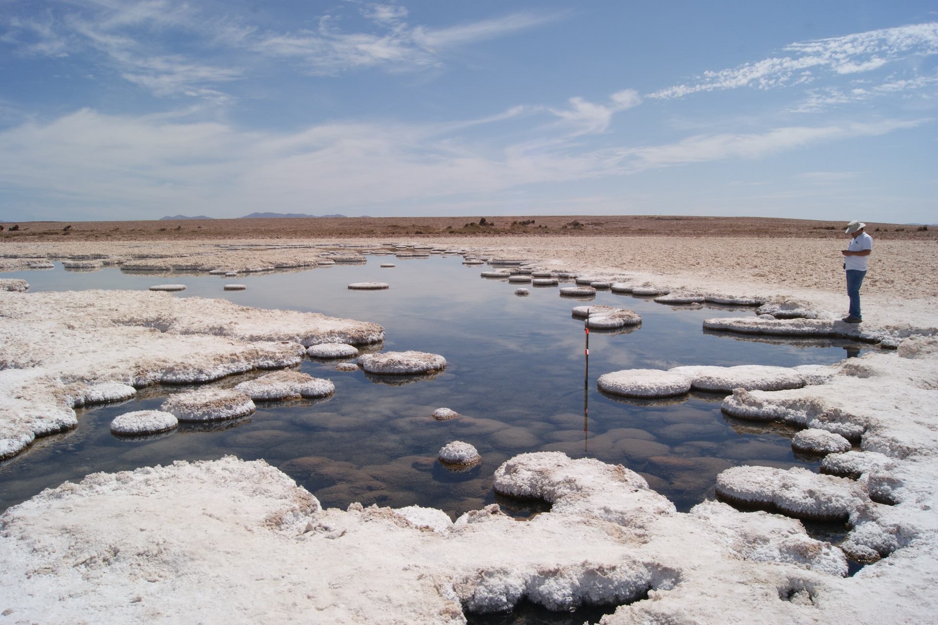 Salar de Llamara es reconocido como Patrimonio Geológico Mundial por UNESCO