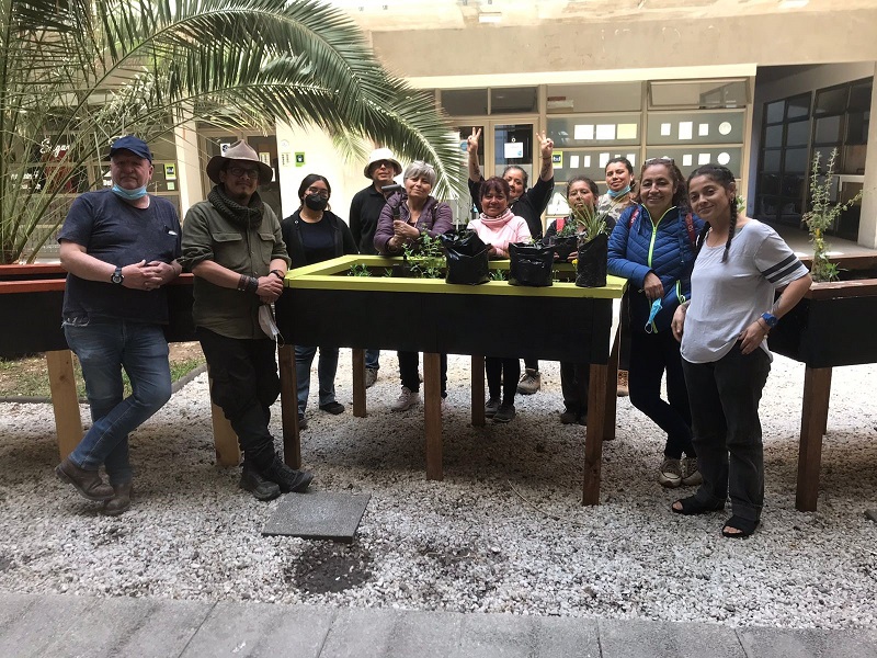 Proyecto científico construye inédito jardín artificial de “oasis de niebla” en un Parque Botánico