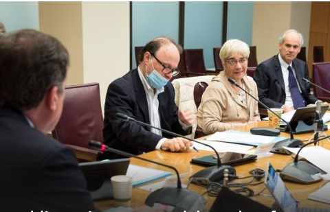 Voto obligatorio: Retoman debate de reforma constitucional