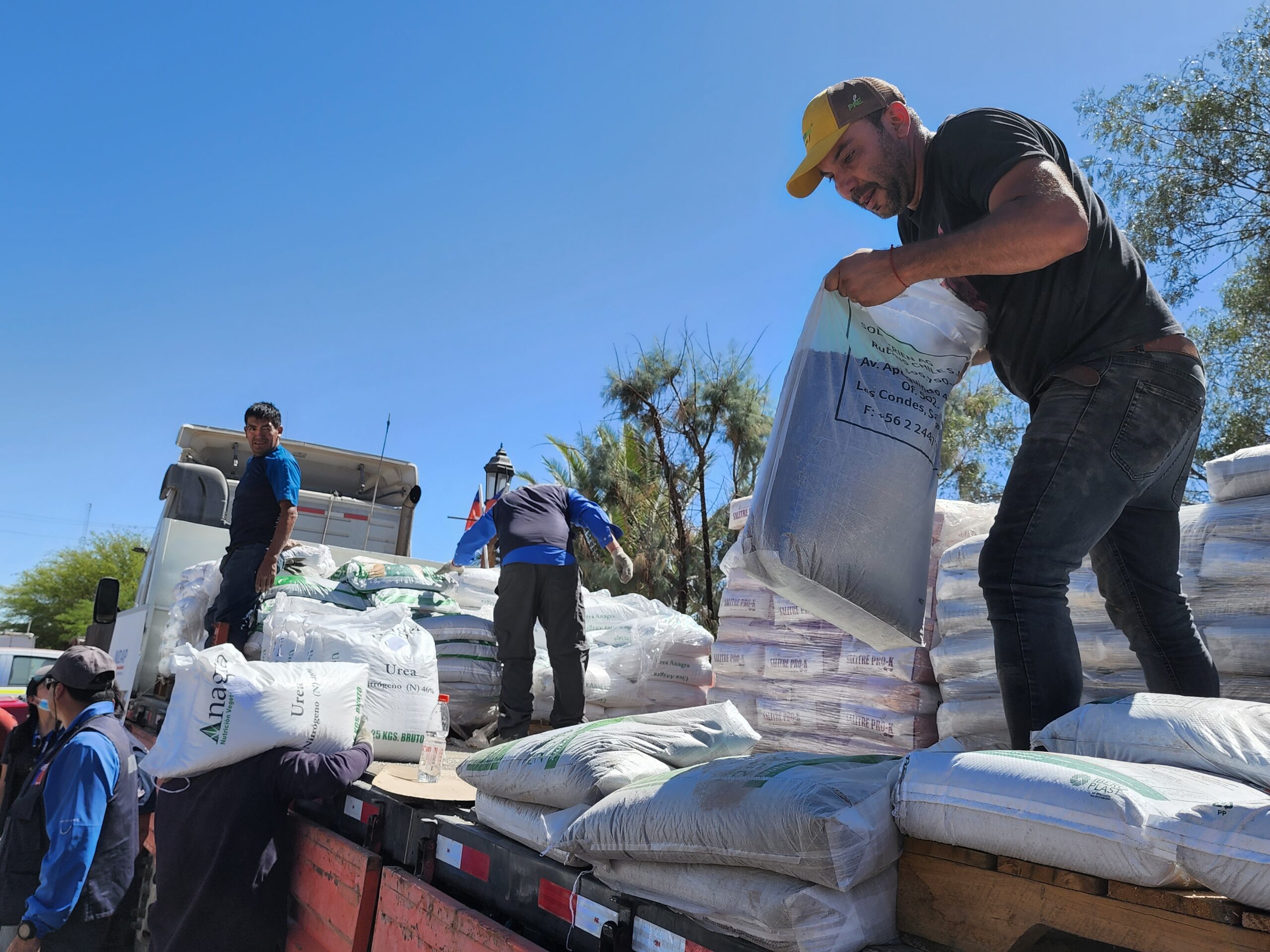 Plan “Siembra por Chile”: concluye entrega de fertilizantes en las cinco comunas del Tamarugal