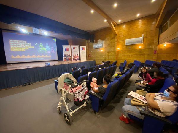 Mujeres jefas de hogar de Tarapacá conocieron ley de responsabilidad parental y pago efectivo de deudas de pensiones de alimentos