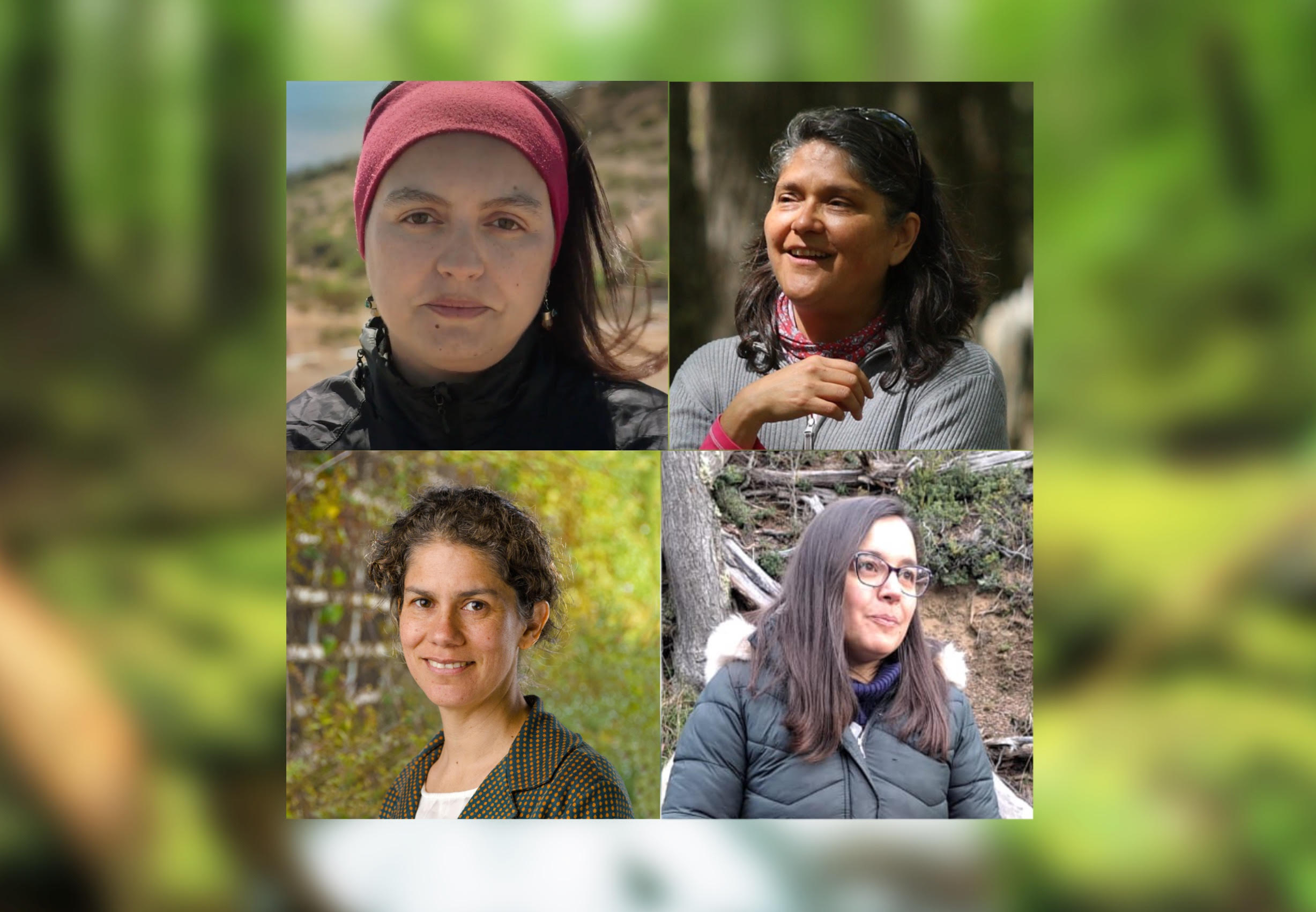 Académicas, científicas, emprendedoras: Las «capitanes planeta» chilenas que luchan contra el cambio climático