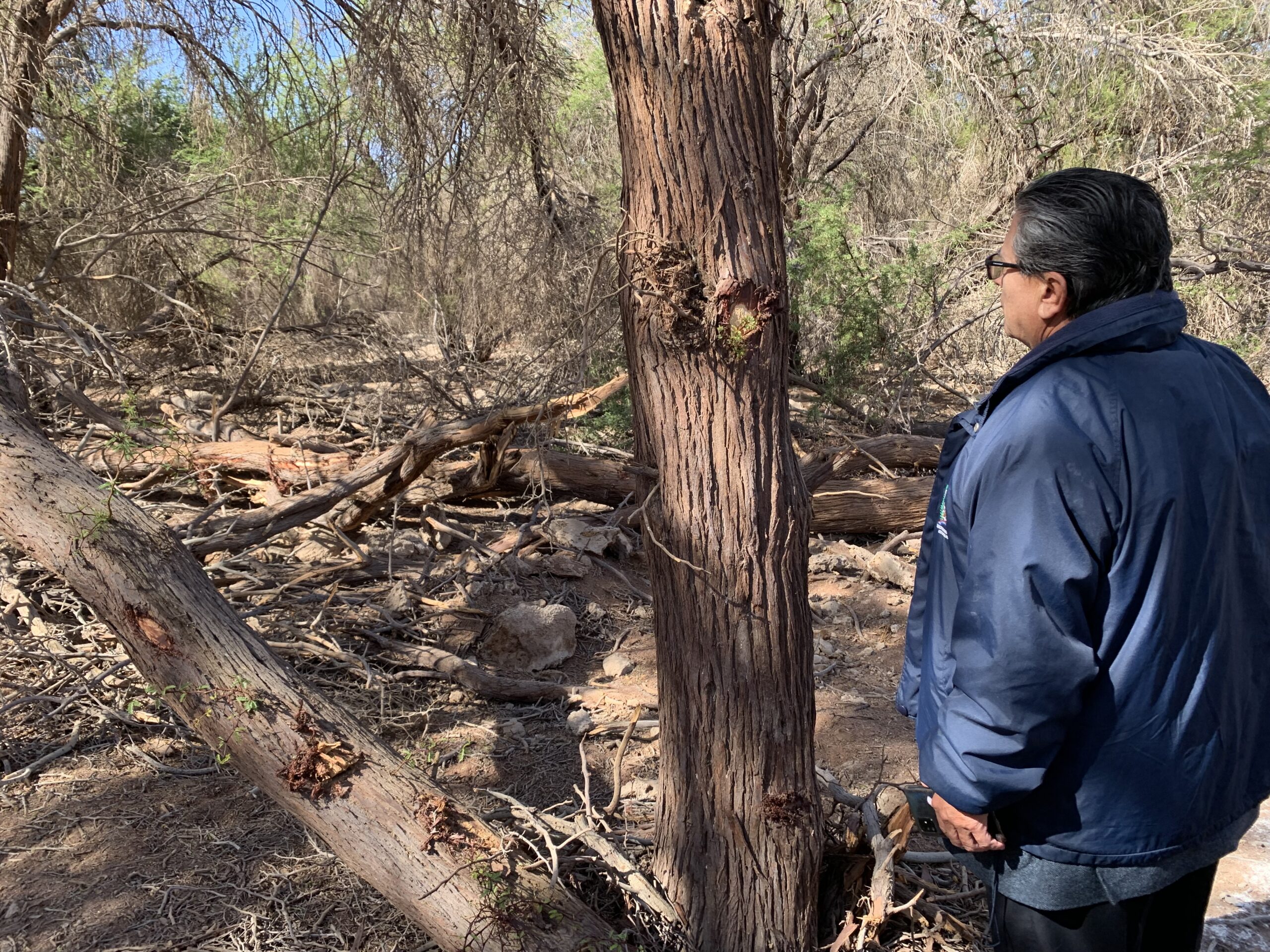 Realizan diligencias por caso de parcelaciones irregulares en Reserva de Pampa del Tamarugal