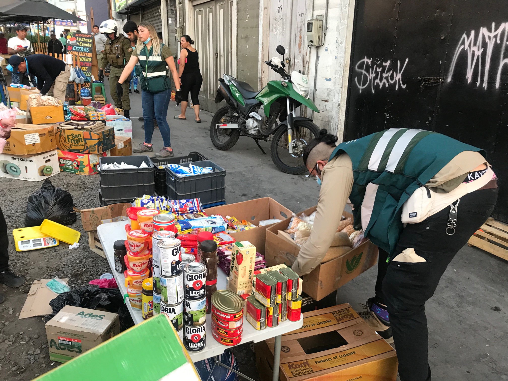 SAG Tarapacá decomisó 338 kilos de productos agropecuarios en fiscalización intersectorial