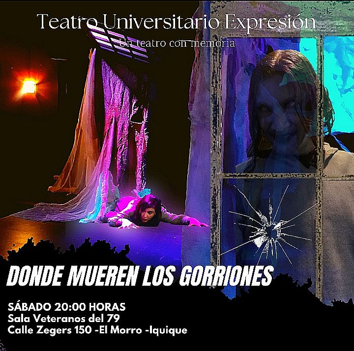 Sábado 26: Última función de “Donde mueren los gorriones”, en Sala Veteranos del 79