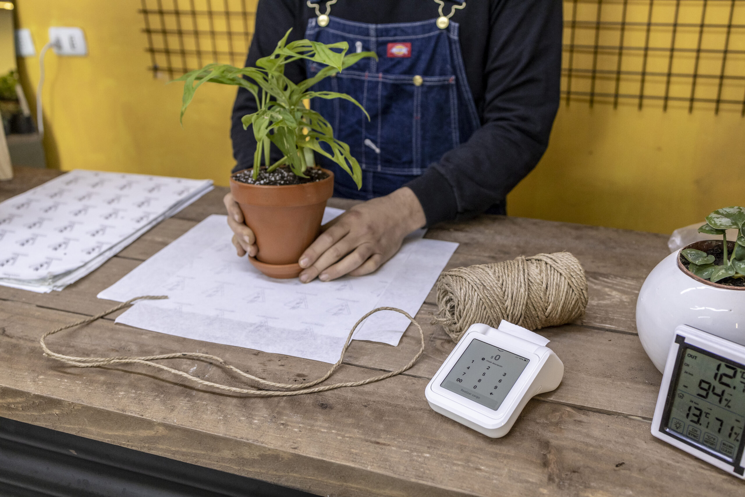 ¿Cuáles son las claves para evitar el fracaso de un emprendimiento durante los primeros meses? 