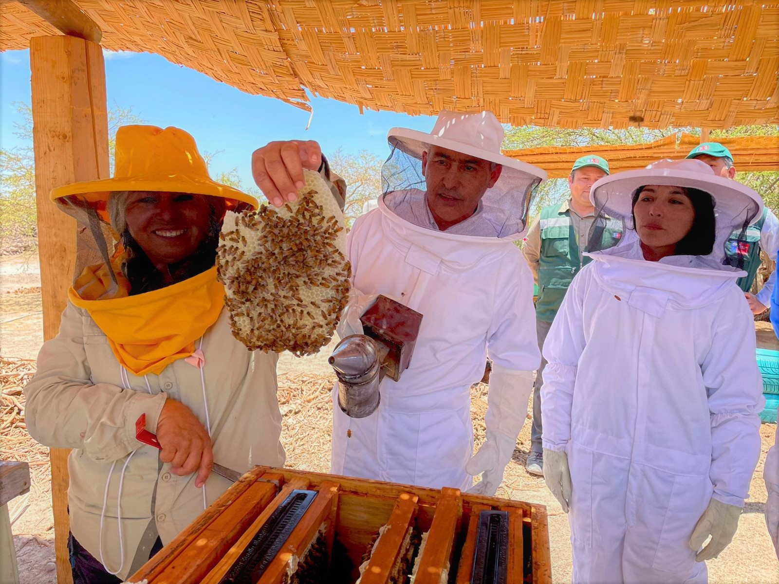 Apicultora cultiva miel en plena pampa del Tamarugal