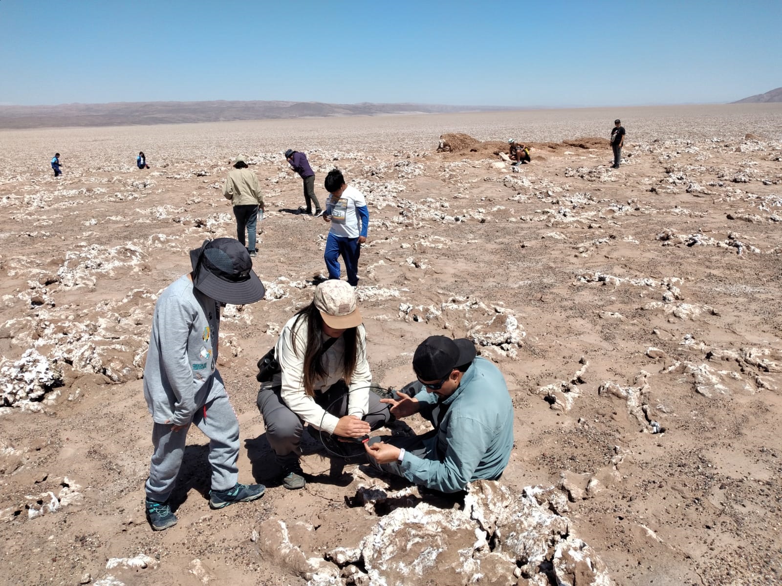 Comunidad educativa del Colegio Marista trabaja junto a comunidad en protección de Golondrina de Mar Negra