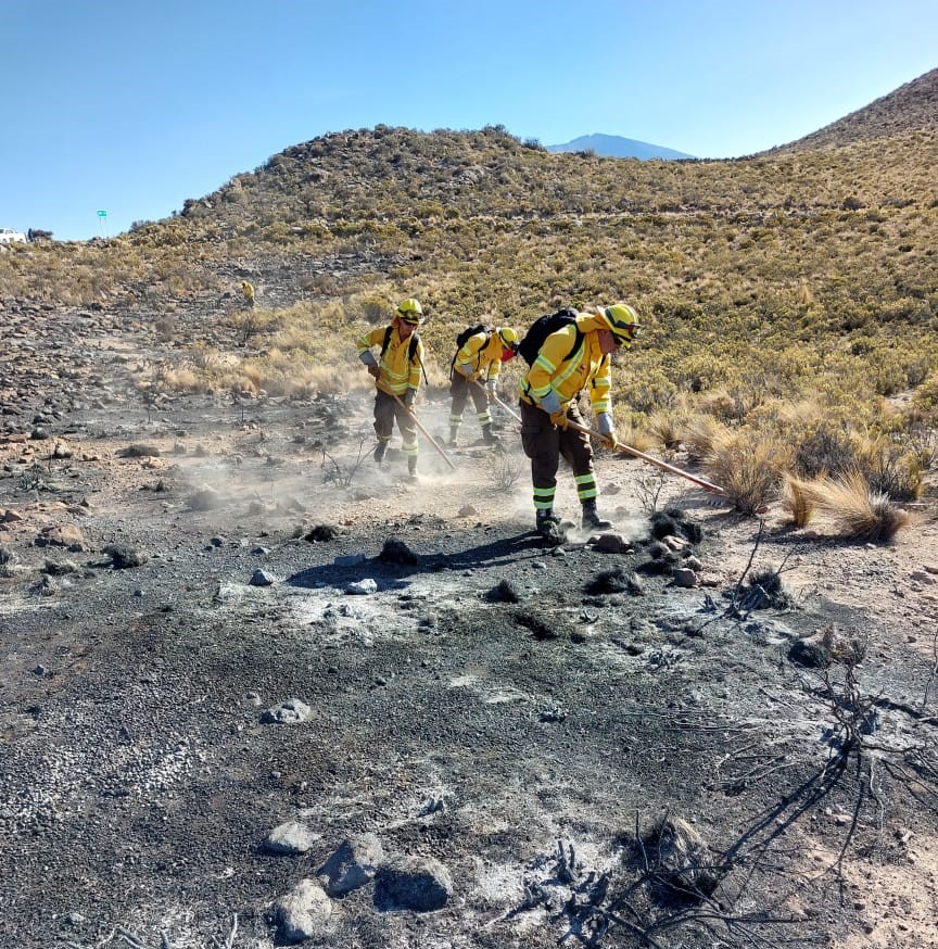 CONAF en El Tamarugal: Extienden llamado a prevención de incendios forestales