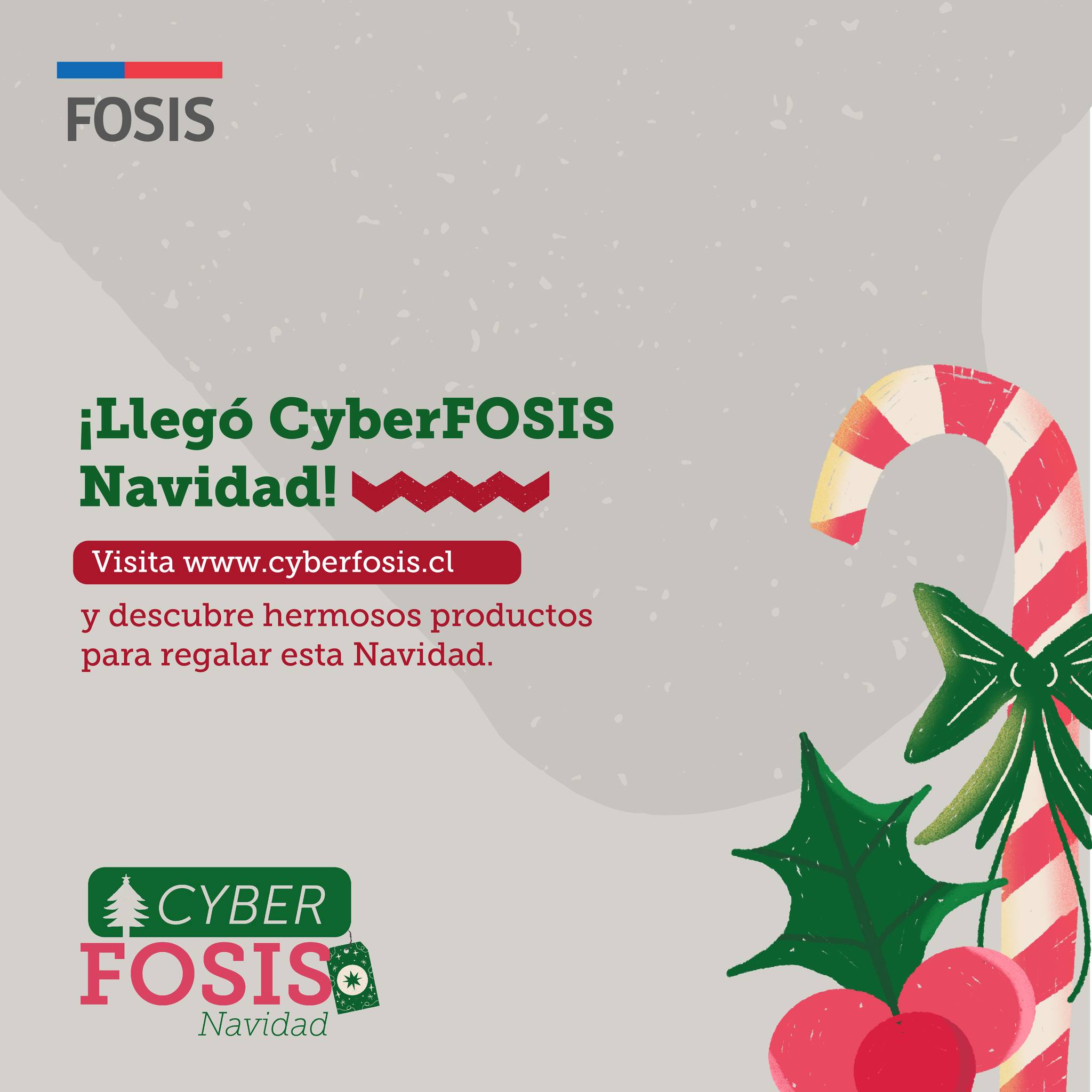 Veintidós emprendedores de Tarapacá participan en Cyber FOSIS Navidad