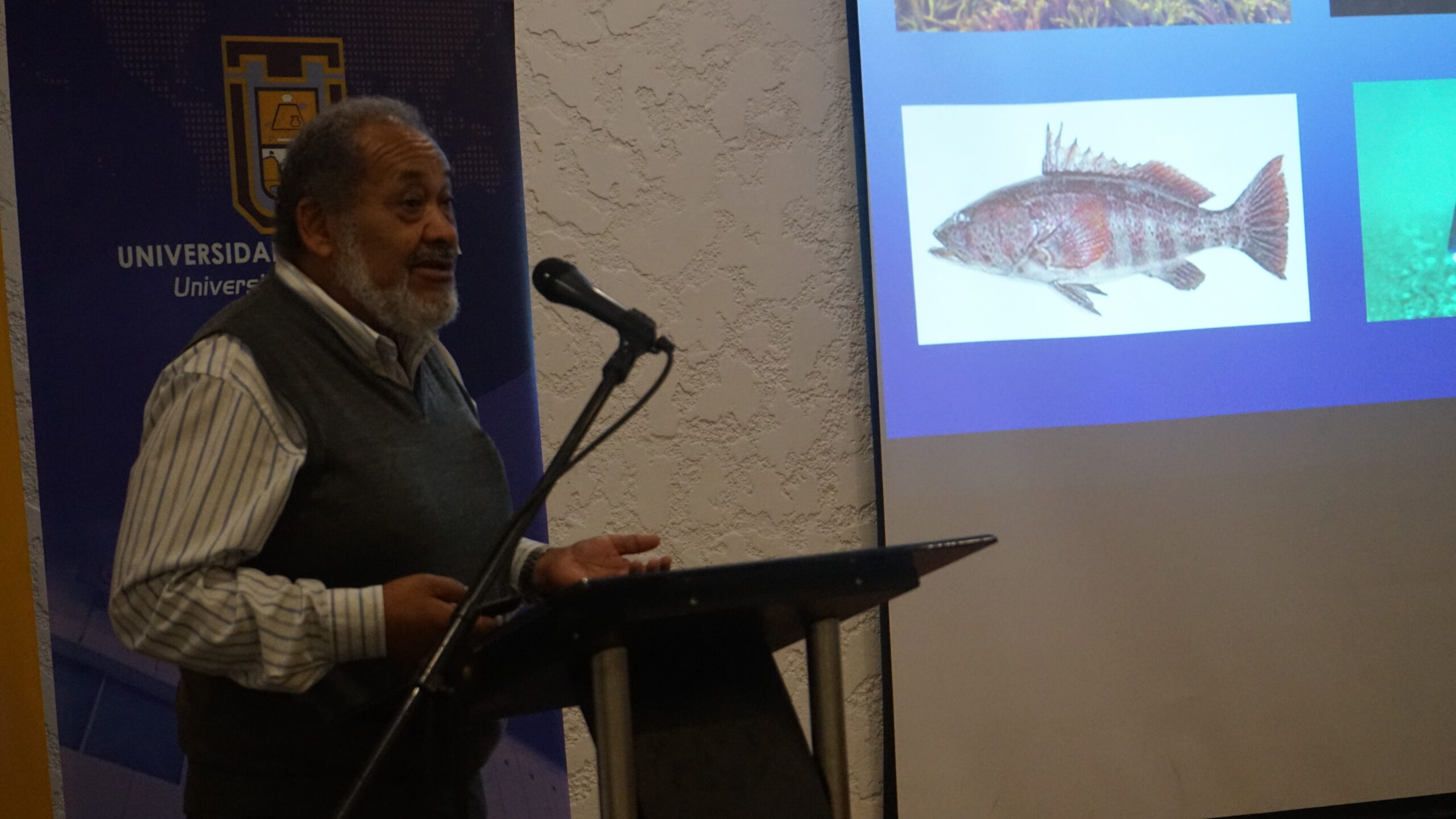 Proyecto creará semillero de peces marinos nativos de Arica y Parinacota para potenciar la acuicultura de la pesca artesanal