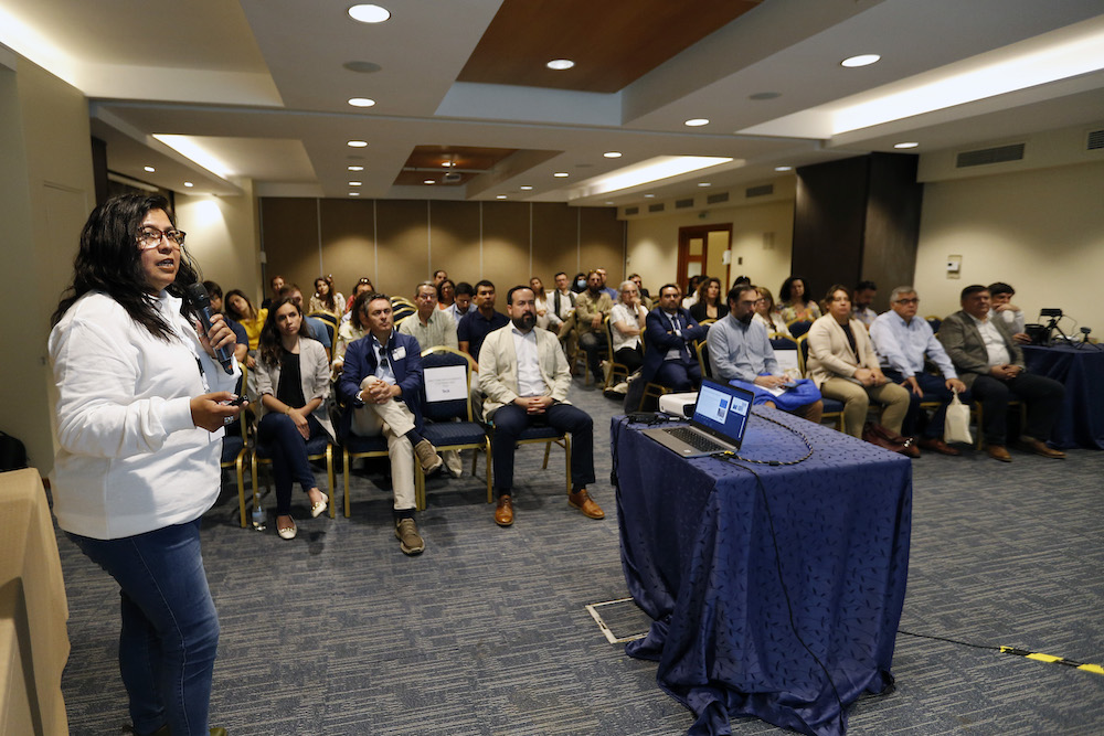 En Iquique realizan seminario de conservación del Gaviotín Chico