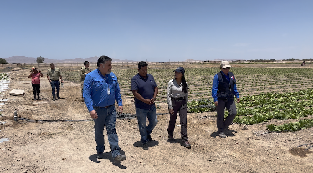 INDAP entrega crédito COBIN por 52 millones para agricultores de Bajo Soga