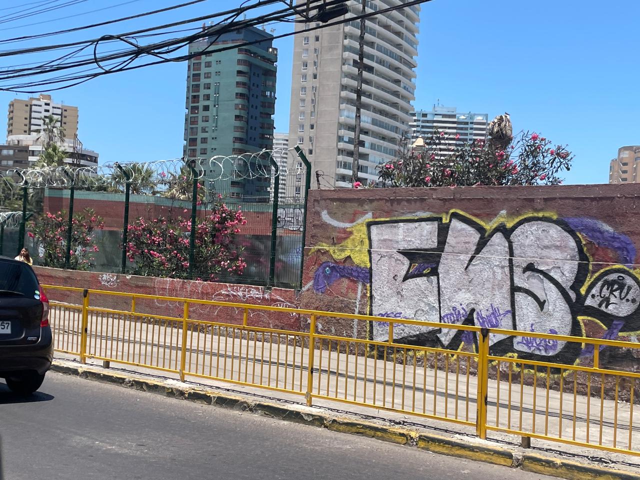 CARTA / Alambradas y rejas
