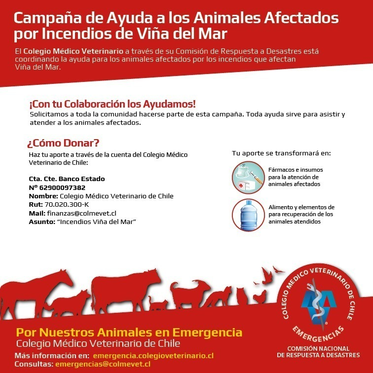 COLVEMET inició campaña de donación de recursos por incendios en Viña del Mar