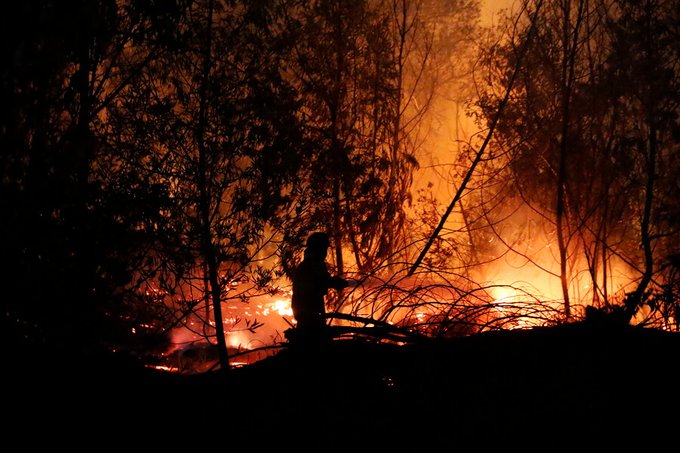 Al menos 500 viviendas fueron afectadas por los incendios en Viña del Mar