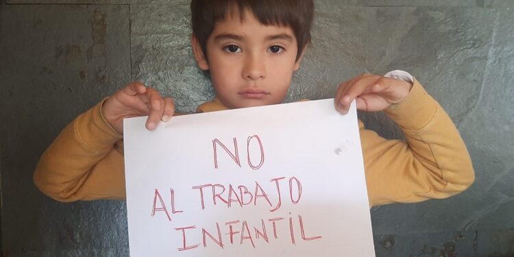 Dirección del Trabajo publica lista de empresas multadas por infracciones al trabajo de niños, niñas y adolescentes