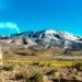 Parque Nacional Volcán Isluga cumple 57 años protegiendo el ecosistema altoandino 