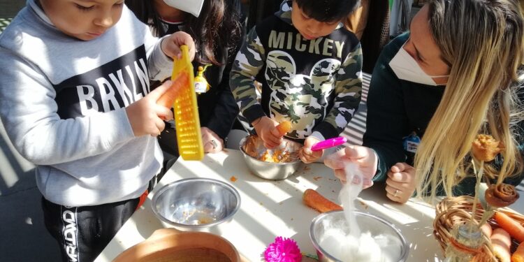 JUNJI Tarapacá: Viernes 13 vence plazo de matrículas proceso 2023