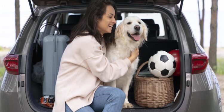 Cinco consejos para viajar seguro con tu perro