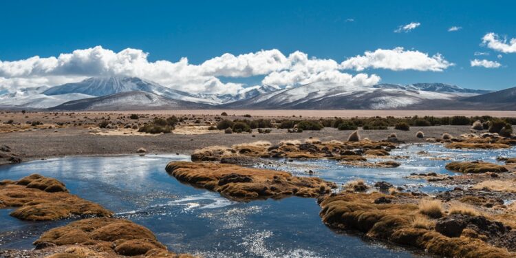 CONAF celebra Día Mundial de los Humedales promoviendo su protección