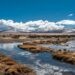 CONAF celebra Día Mundial de los Humedales promoviendo su protección