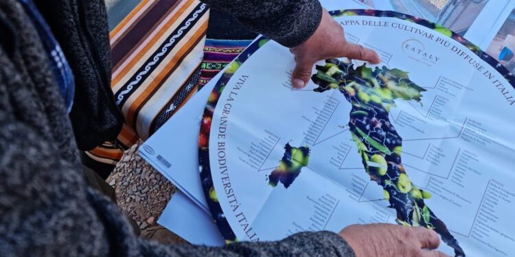 LabAncestral presentó  resultados obtenidos tras meses de investigación junto a comunidades del territorio