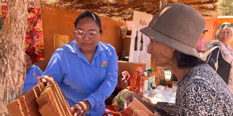 Cerca de 100 agricultoras (es) participaron en seminario: “Agricultura Sostenible en el Salar de Atacama”