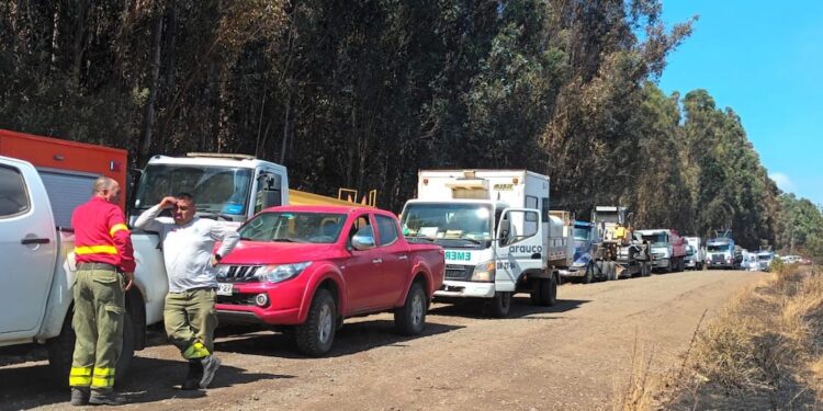 A balazos amedrentan a más de 200 brigadistas en Los Sauces
