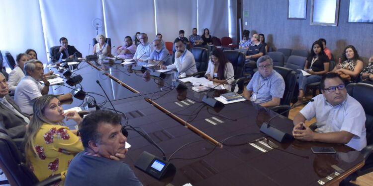 Comisión de Salud del Core buscará soluciones al problema que afecta a las poblaciones aledañas al ex vertedero Alto Molle