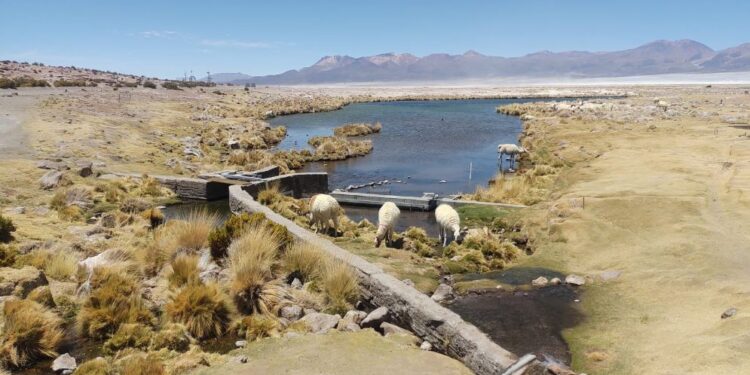 DGA Tarapacá recuerda las acciones y compromisos &nbsp;en el Día Mundial del Agua