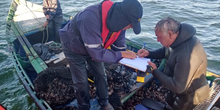 Sernapesca destacó un buen cumplimiento normativo en el balance de fiscalizaciones por Semana Santa