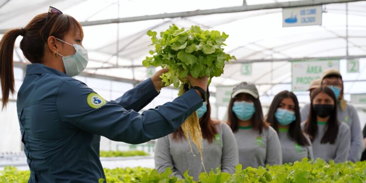 SQM presenta su última innovación para la industria agrícola con un revolucionario producto para un mayor rendimiento y calidad de los cultivos