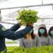 SQM presenta su última innovación para la industria agrícola con un revolucionario producto para un mayor rendimiento y calidad de los cultivos