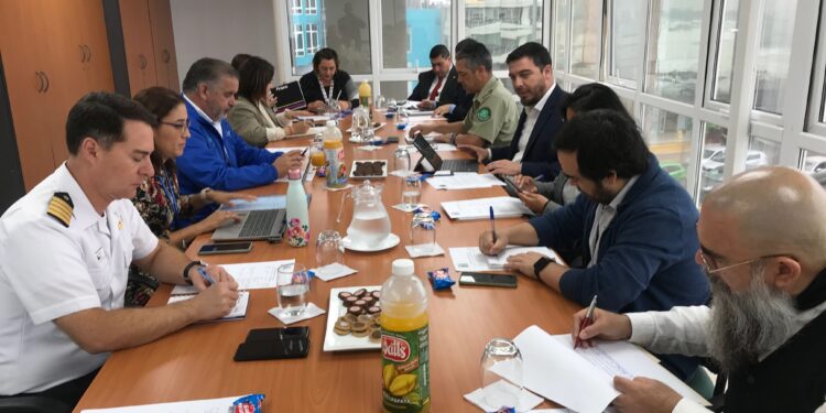 Calendarizan fiscalizaciones intersectoriales al comercio informal en Iquique y Alto Hospicio