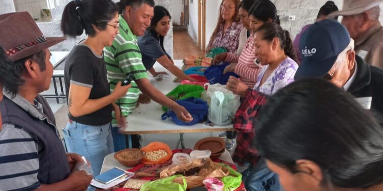Traspasan conocimiento sobre semillas y proyectan centro de conservación en Huaviña