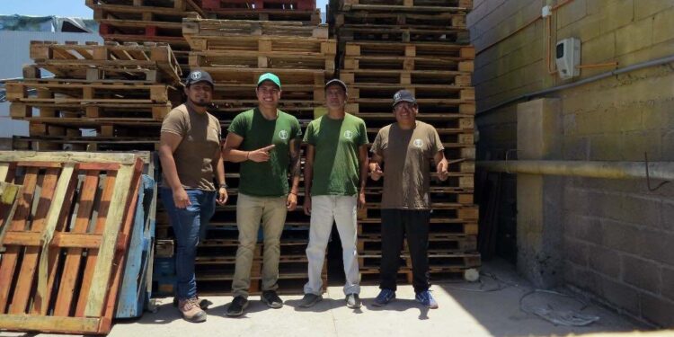 Programa Pymes Globales de Sercotec impulsa la internacionalización de la Juguetería Ecológica Aliküm