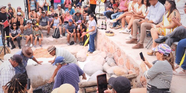 Siete mil personas llegaron al Valle de Codpa a disfrutar de la cultura, tradición y patrimonio de la Vendimia 2023