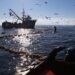 «No hay ninguna certeza»: Pescadores industriales manifiestan dudas por nuevo proyecto de Ley de Pesca