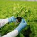 Lanzan convocatoria para buscar a las 50 innovaciones alimentarias de Chile 2023