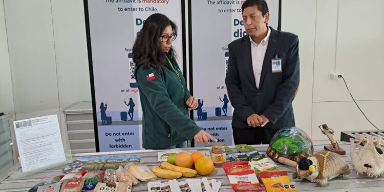 SAG Tarapacá llama a turistas a no traer productos agropecuarios de riesgo en su equipaje