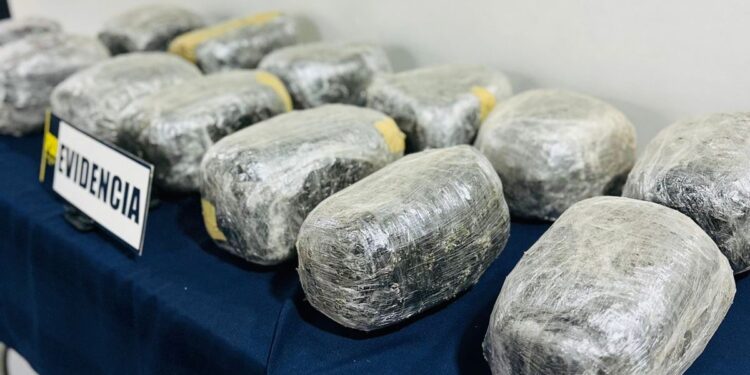 PDI incautó más de 14 mil dosis de drogas en Valle de Azapa