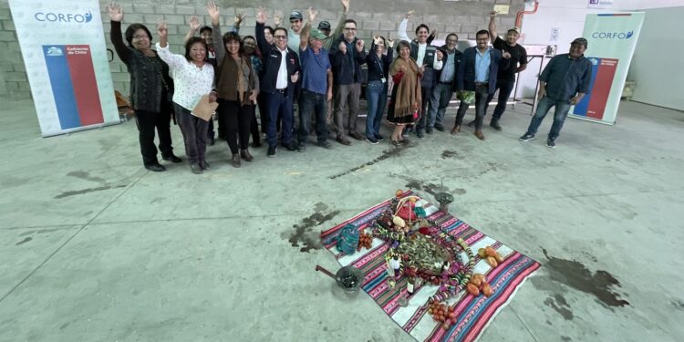 Pampa Concordia: Challaron maquinaria para mejorar la selección del tomate Cherry