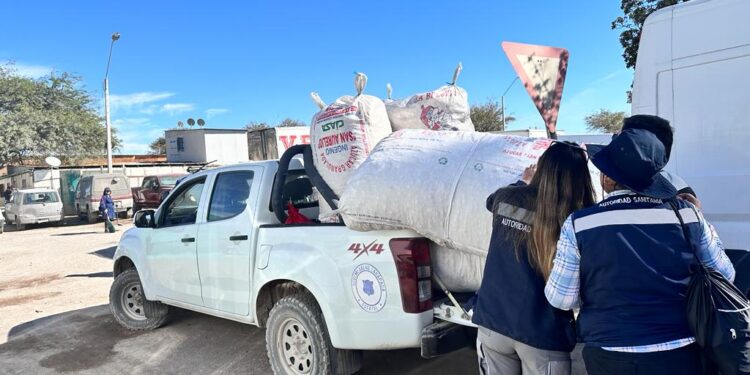 Seremi de Salud realiza balance tras fiscalizaciones fiesta de La Tirana 2023