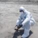 SAG Tarapacá anuncia el cierre de 7 zonas bajo control sanitario por Influenza aviar