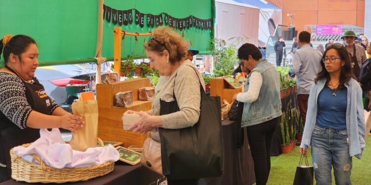 14 nuevos pequeños productores y productoras usuarias de Indap Tarapacá se suman a segundo Mercado Campesino en Zofri