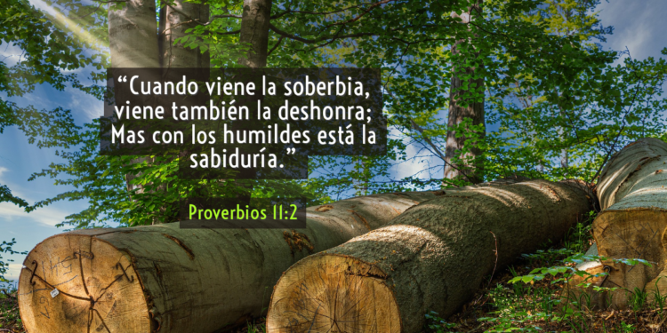 La soberbia, la arrogancia y la prepotencia