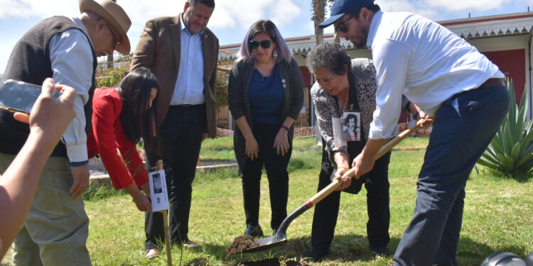 Plantan “Árboles por la Memoria” en homenaje a víctimas de la dictadura