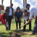 Plantan “Árboles por la Memoria” en homenaje a víctimas de la dictadura