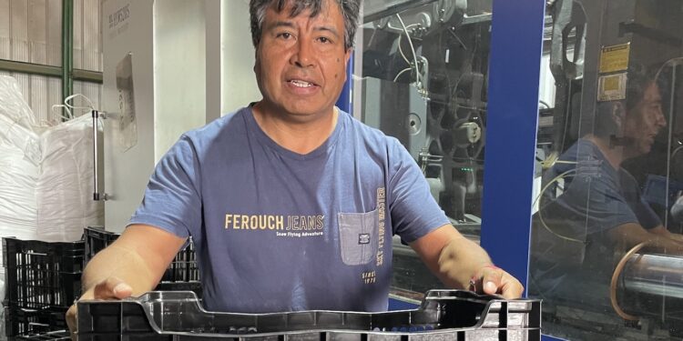Empresa agrícola fabrica envases plásticos para enviar tomates a la zona central